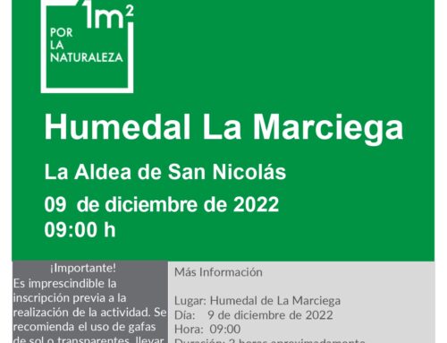 El Ayuntamiento de La Aldea de San Nicolás invita a la ciudadanía a participar en la limpieza de El Humedal de La Marciega