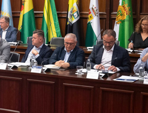 La Aldea aborda junto al resto de municipios de Gran Canaria estrategias comunes de emergencia, prevención y desarrollo