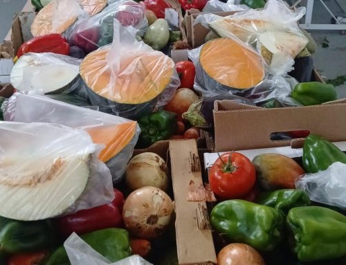 La Aldea de San Nicolás agradece a las carretas de la Romería Ofrenda su solidaridad con las familias del municipio