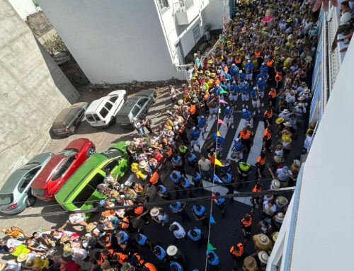 Miles de personas se reúnen en La Aldea para celebrar la Bajada de la Rama de las Fiestas de San Nicolás de Tolentino 2024