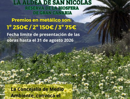 La Aldea de San Nicolás convoca un concurso de fotografía para poner en valor la Palmera Canaria