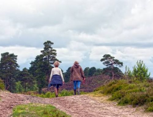 La Aldea de San Nicolás conmemora el Día Internacional de las Mujeres Rurales con una caminata interpretada en Cuermeja