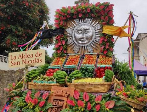 La carreta de La Aldea de San Nicolás en la Romería Ofrenda del Pino 2026 rendirá homenaje al agua