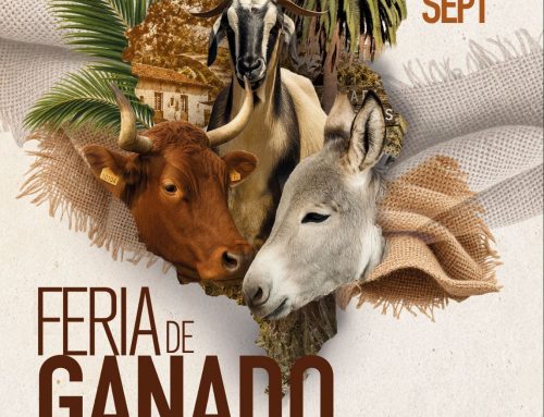 La Aldea de San Nicolás celebra su Feria de Ganado 2026 poniendo en valor la historia y las tradiciones del municipio