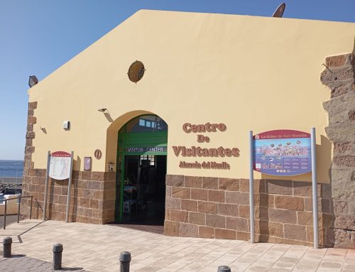 La Aldea de San Nicolás registra más de 2.200 visitantes en el Centro de Visitantes del Muelle durante el primer trimestre de 2026