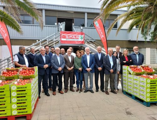 La Aldea de San Nicolás refuerza su respaldo al sector del tomate a través del convenio entre SPAR y COAGRISAN