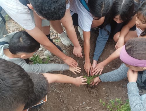 El CEIP Virgen del Carmen participa en una jornada educativa en el paseo botánico de La Aldea