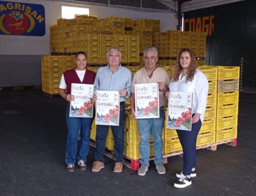 La Aldea de San Nicolás celebra una nueva edición de la Feria del Tomate