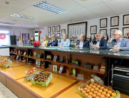 La Aldea de San Nicolás celebra con FEDEX el 140º aniversario del tomate canario