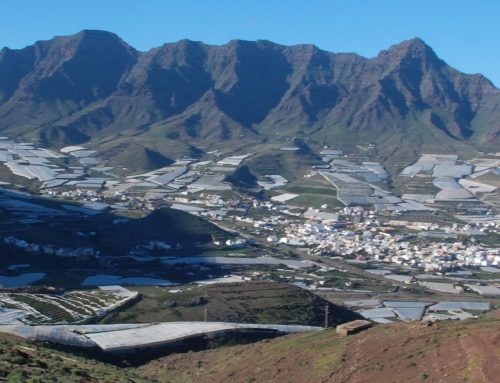 Tasartico celebra sus fiestas en honor a San Luis Gonzaga y Tasarte las suyas en honor a San Juan con un amplio programa de tradición, música y convivencia