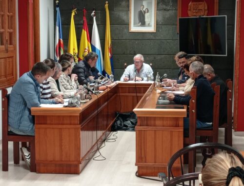 El Pleno de La Aldea de San Nicolás dice NO a la violencia machista