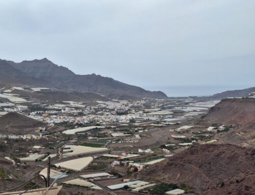 El Pleno Municipal aprueba el convención de adhesión del Ayuntamiento de La Aldea de San Nicolás y la Agencia Canaria de Protección del Medio Natural